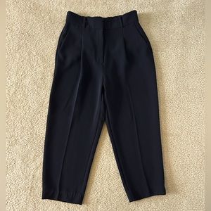 ARITZIA Dashwood Trouser Pants 8